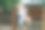 学龄前的小女孩攀爬和悬挂在户外单杠上。欢快的女孩运动员在运动场上的体操棒上。快乐的孩子和夏天的活动在操场上。图片下载