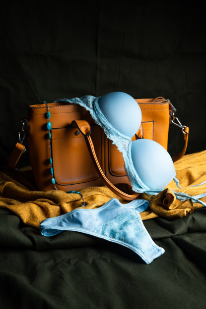 女式棉质内衣，女式内裤和紧身胸衣，高级定制图片下载