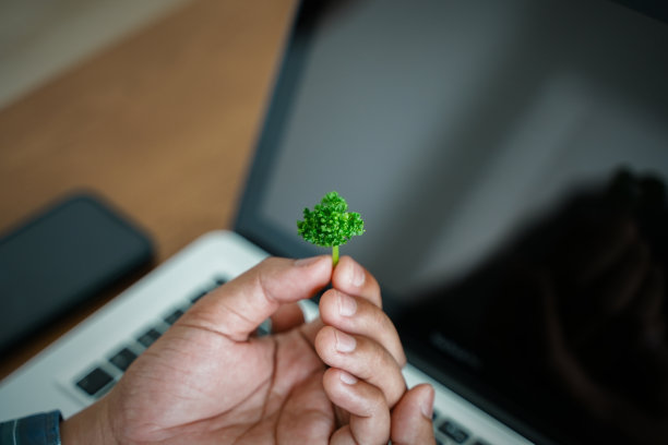 净零排放和碳中性概念净零排放目标气候中性长期战略。图片下载