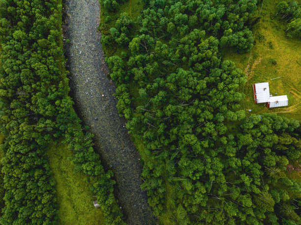 河流流经绿色森林景观图片下载