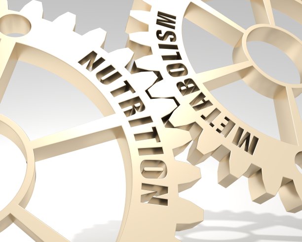 齿轮机构具有烙印代谢和营养的概念词。三维渲染图片下载