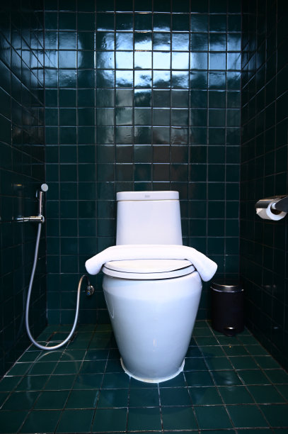 暗绿色墙壁上的白色抽水马桶，室内设计图片下载