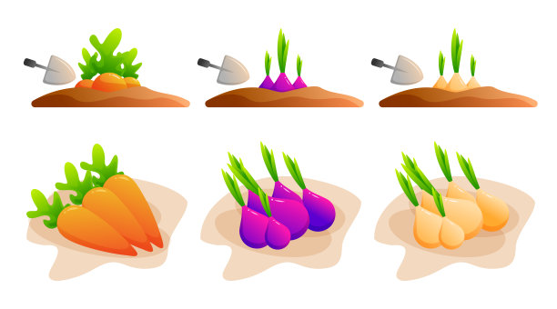 蔬菜农用植物、生长植物工程。种植植物胡萝卜，根蔬菜，花园蔬菜，健康食品图片下载