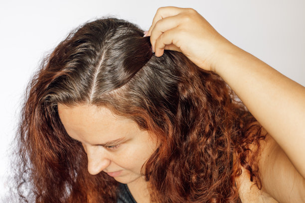 特写的女人的手向后推一缕头发，显示灰色的发根在白色的背景。重新生长的根需要重新着色。反时代护理。本空间图片下载