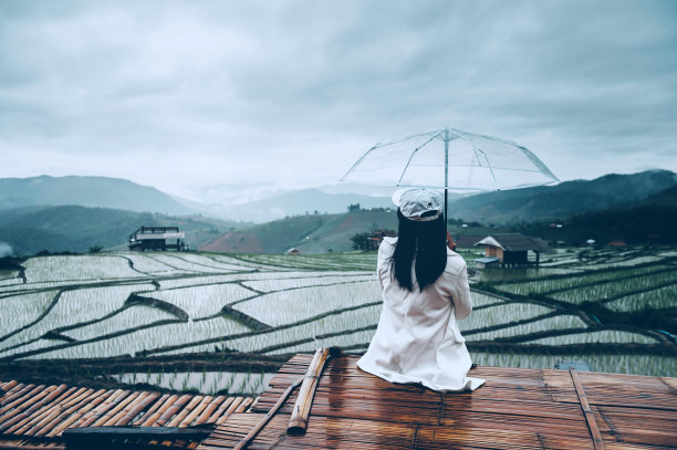 雨季图片下载