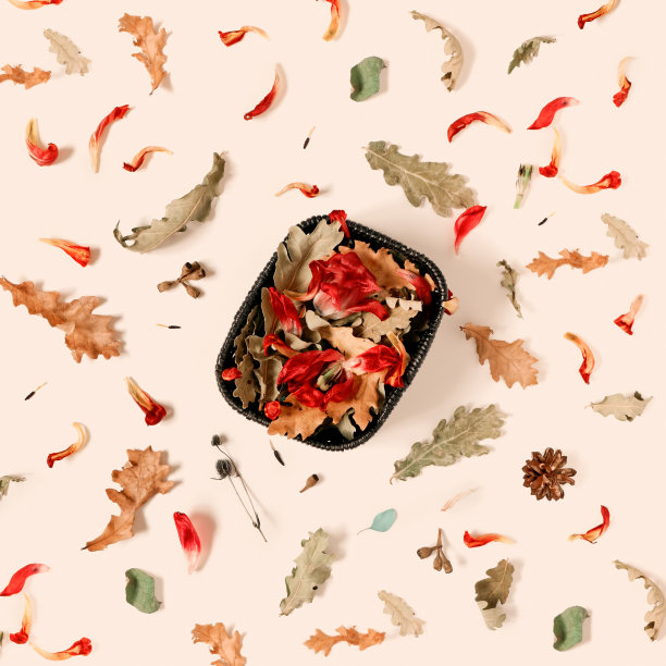 柳条篮里放着凋零的郁金香花和各种凋零的叶子。不远处，橡树的叶子散落在米黄色的背景上。抽象的秋天组成。图片下载