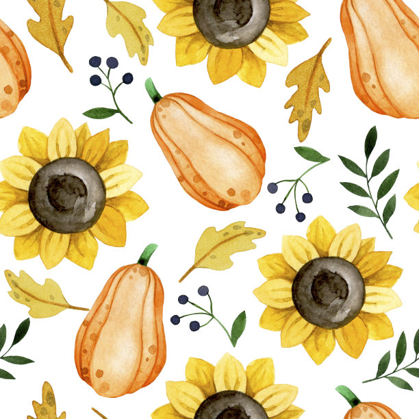 水彩无缝图案可爱的橙色南瓜和黄色向日葵。感恩节,万圣节,秋天图片下载