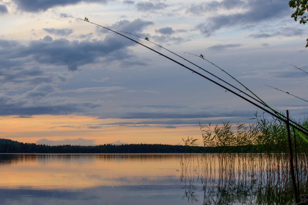 美丽的湖景在无风的时间与绿色的芦苇和渔具在多云的夏天日落黄昏图片下载