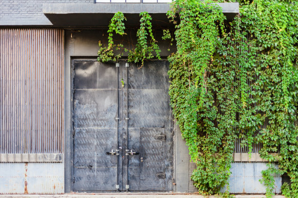 仓库门口的藤蔓蔓生在立面墙上，像爬山虎图片下载