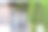 仓库门口的藤蔓蔓生在立面墙上，像爬山虎图片下载