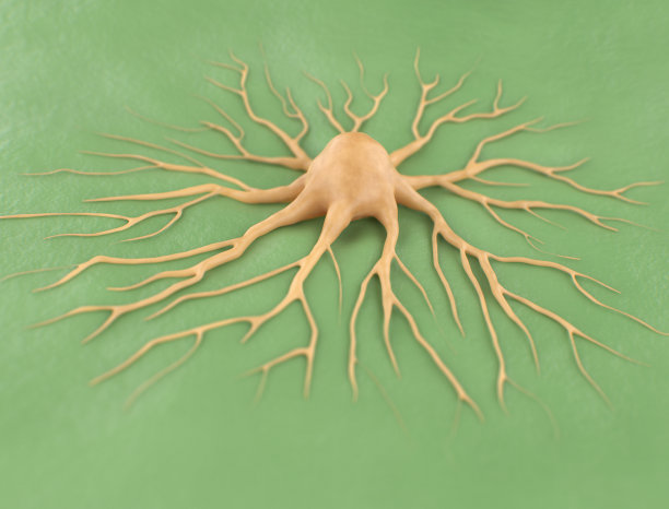 人类癌症细胞图片下载