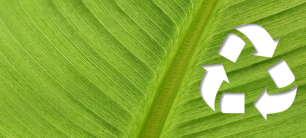 绿色叶子上的回收符号与复制空间图片下载