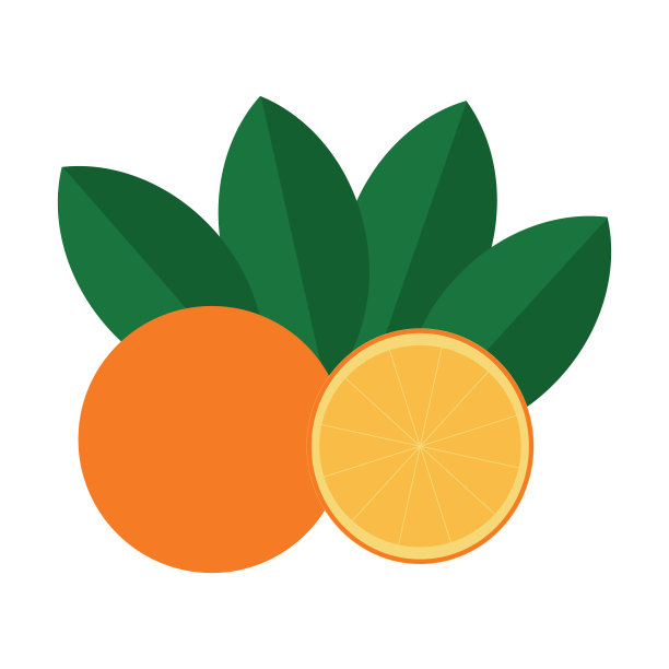 在白色背景上分割的橘子。图片下载