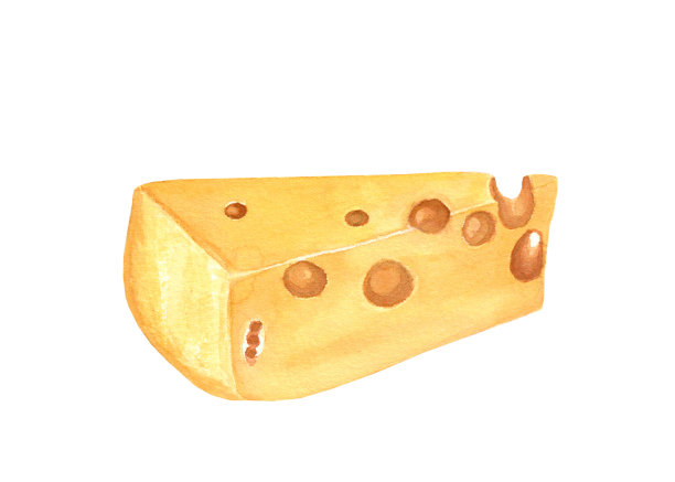 奶酪的水彩插图图片下载