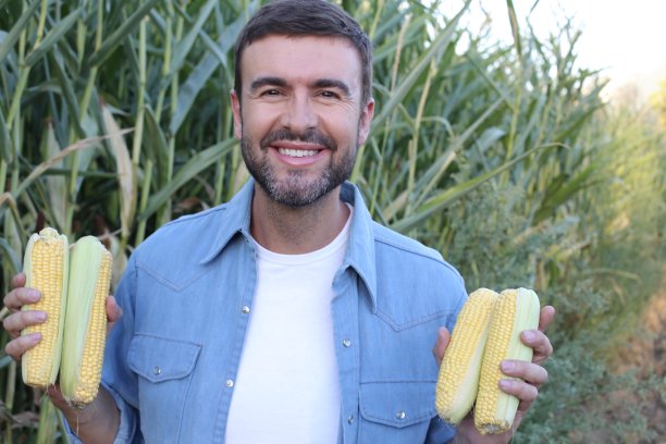 农民在美丽的玉米田图片下载