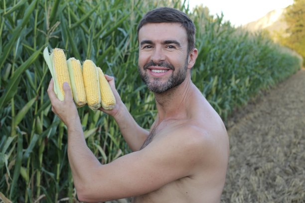 迷人的赤膊农民拿着新鲜的玉米图片下载