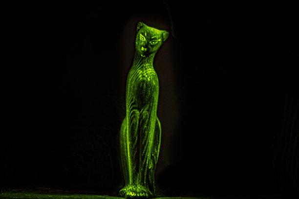 一只优雅的猫的剪影被光线勾勒出来图片下载