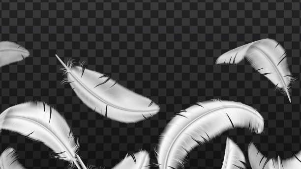 白色的羽毛背景逼真的飞行绒毛图片下载