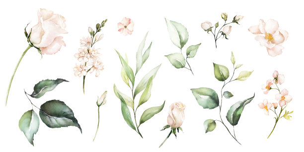 绿叶集枝。水彩花束边花圈框以鲜艳的桃红色、腮红、白色、粉红色、鲜艳的花朵、金色元素、绿叶。图片下载
