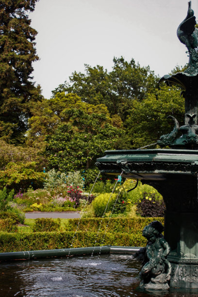 新西兰达尼丁的喷泉和植物园图片下载