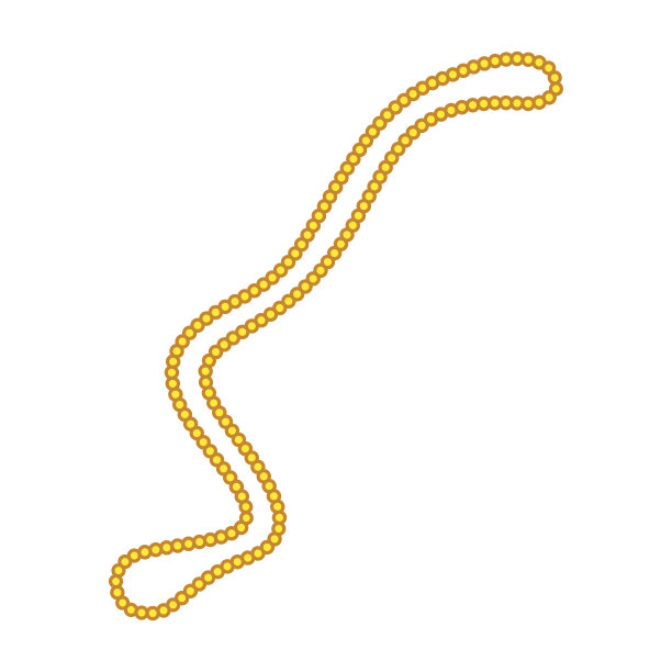 简单的项链图片下载