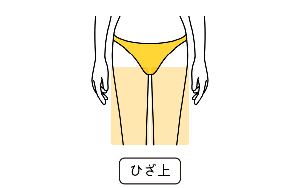 女性脱毛的插图部分，在膝盖以上图片下载