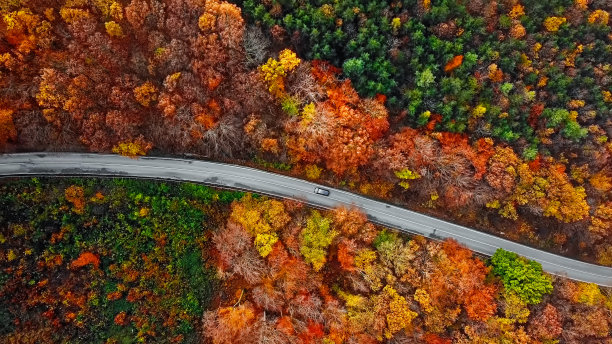 五彩缤纷的秋林中蜿蜒的山路鸟瞰图片下载