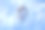 雪地上的狗脚印图片下载