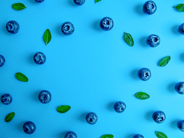 蓝莓夏天框架图片下载