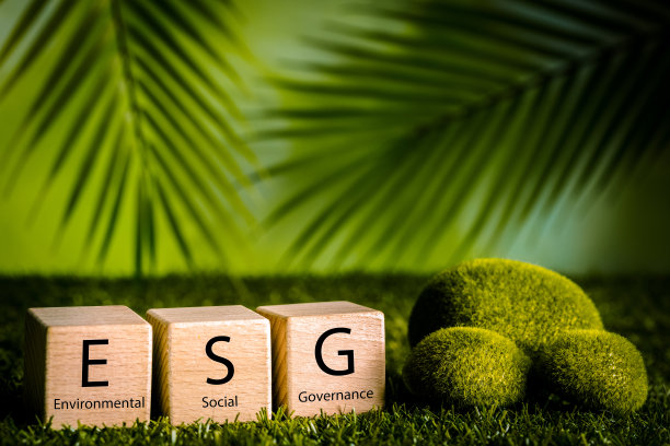 ESG环境、社会和治理理念。木块上的ESG字，可持续发展的组织。考虑环境、社会和公司治理图片下载
