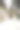 桌上有两个婚礼用的香槟杯图片下载