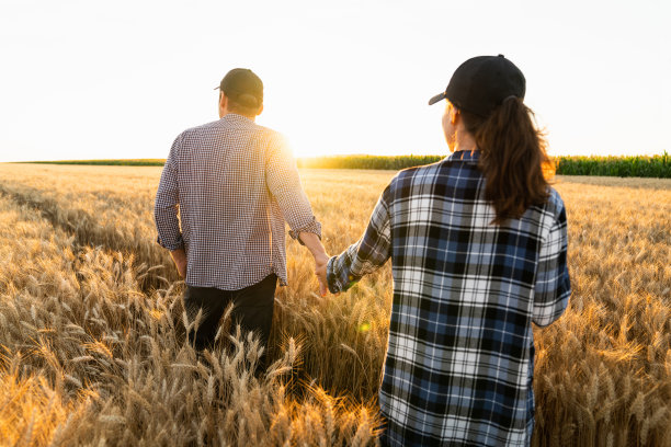 几个农民穿着格子衬衫，戴着帽子，手牵着手在农田里图片下载