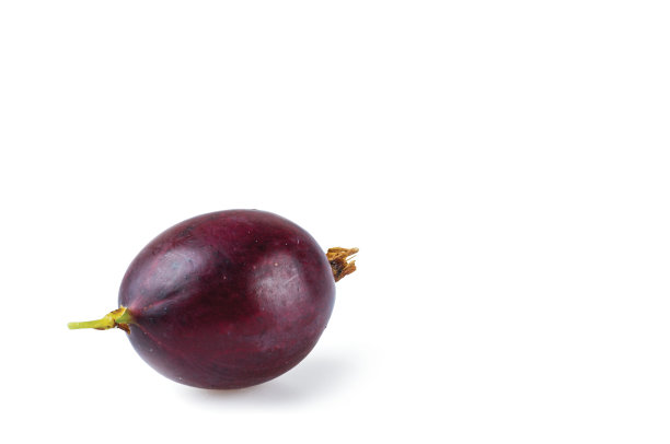 近距离观察红熟醋栗在白色背景上孤立。图片下载