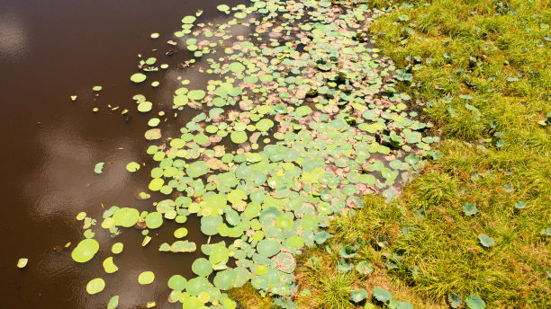 斯里兰卡的国家公园。图片下载