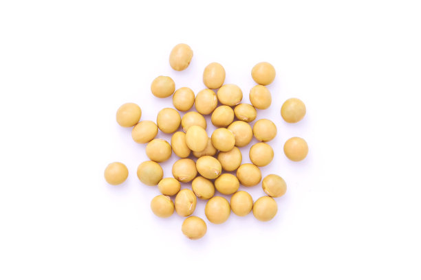 对白底分离的大豆种子进行分组。图片下载