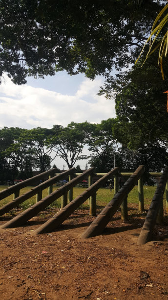 军事障碍训练图片下载