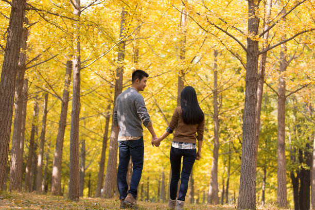 年轻的情侣或情侣在秋天的森林里手牵手散步-股票照片图片下载