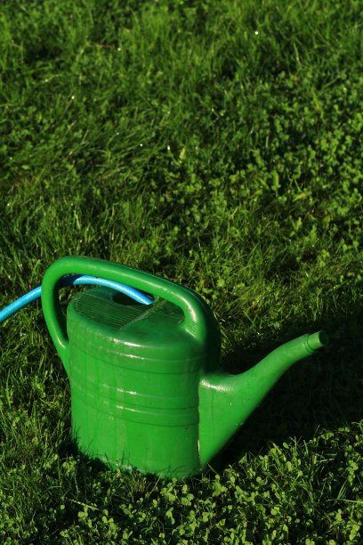 草坪绿化喷壶图片下载