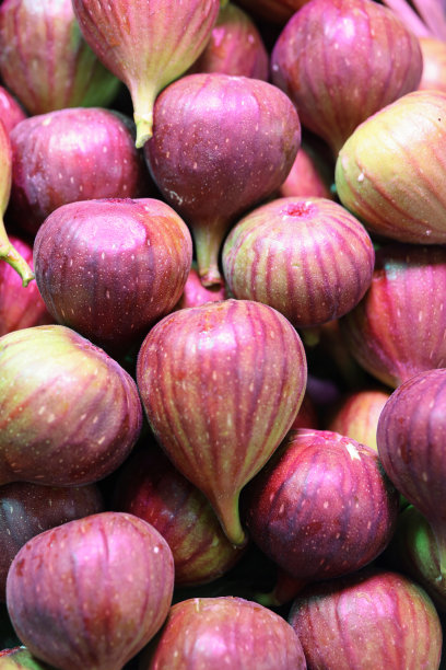 各种水果图片下载