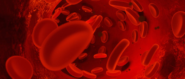 血管中循环的红细胞3D渲染图片下载