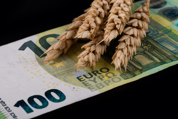 干燥的麦穗和黑色背景的100欧元钞票图片下载