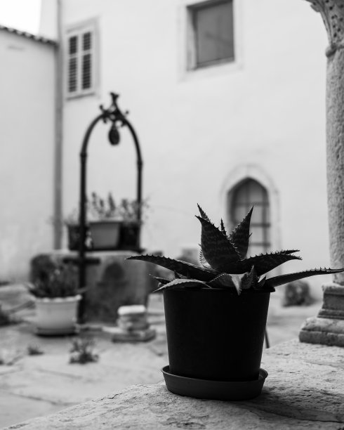 老井，教堂内庭院在克雷斯圣弗朗西斯修道院图片下载