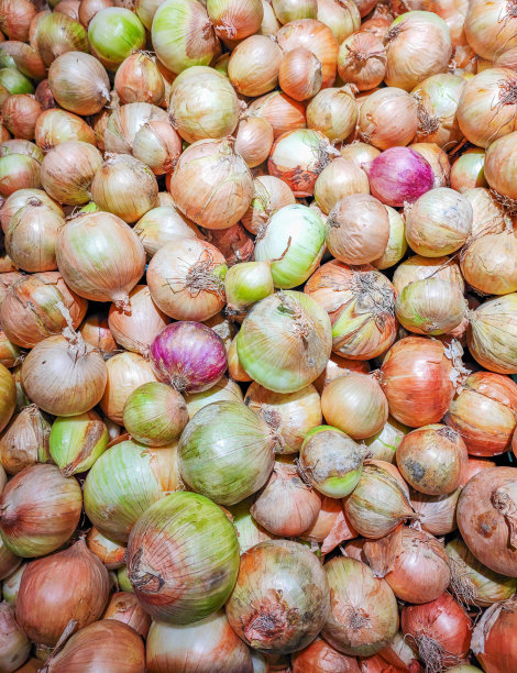 超市里变质的有机洋葱。向穷人出售廉价产品。图片下载