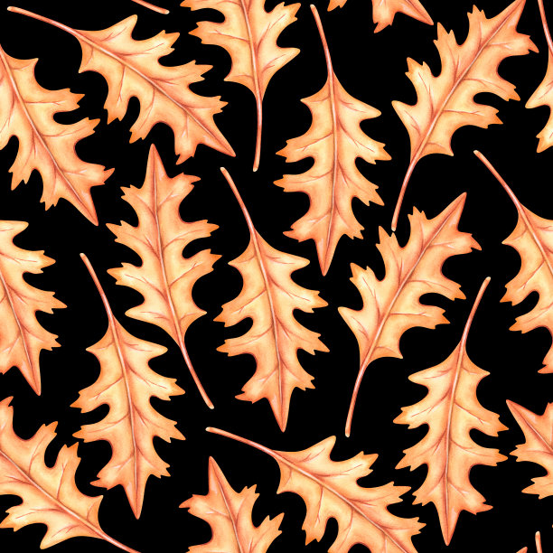 秋天的橡树叶无缝图案。水彩的插图。孤立在黑色背景上。图片下载