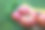 一盘新鲜成熟的蔬菜:西红柿，黄瓜，洋葱，西葫芦，西葫芦，茄子，欧芹在家。市场上的早期收获。健康饮食生活方式观念饮食营养。图片下载