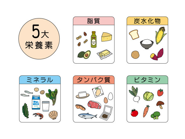 含有5种大量营养素的食物图片下载
