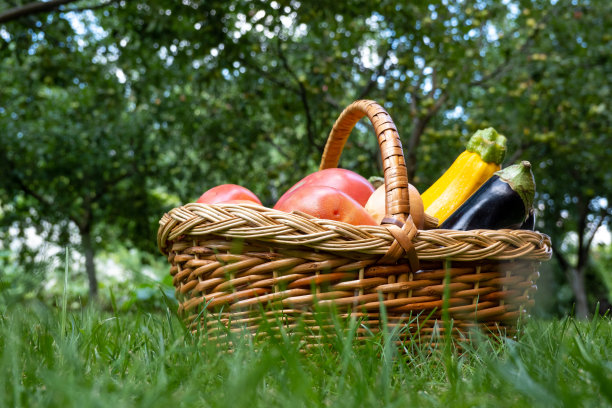 柳条木制篮子装满新鲜成熟的蔬菜:西红柿，黄瓜，洋葱，西葫芦，南瓜，茄子在绿色的草地上。市场上的早期收获。健康饮食生活方式观念饮食营养。消费者篮子图片下载