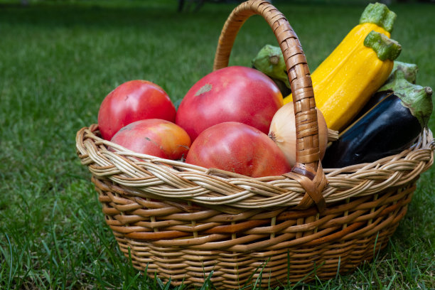 柳条木制篮子装满新鲜成熟的蔬菜:西红柿，黄瓜，洋葱，西葫芦，南瓜，茄子在绿色的草地上。市场上的早期收获。健康饮食生活方式观念饮食营养。消费者篮子图片下载