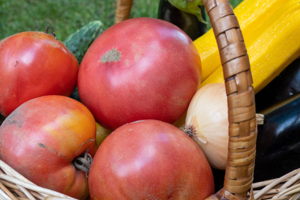 柳条木制篮子装满新鲜成熟的蔬菜:西红柿，黄瓜，洋葱，西葫芦，南瓜，茄子在绿色的草地上。市场上的早期收获。健康饮食生活方式观念饮食营养。消费者篮子图片下载