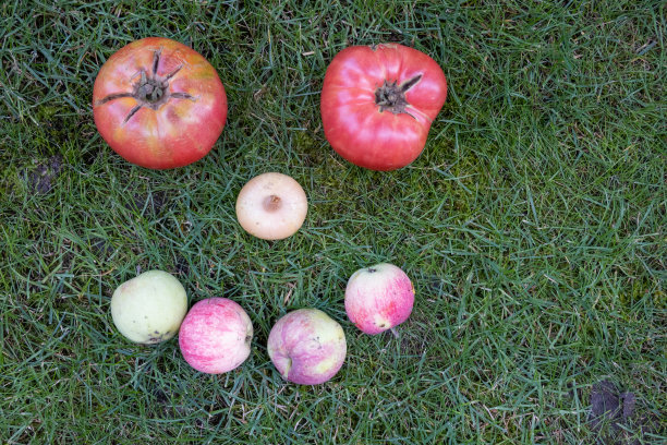 自家种植的有机新鲜成熟的蔬菜和水果在花园的绿色草坪上。从上往下看微笑面对积极的情绪，由红番茄、洋葱和青苹果组成。健康饮食生活方式观念饮食营养。空间的文本。图片下载